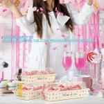 Cake Roll Box, Swiss Roll & Pastry, Clear Dessert & Cupcake Container, Eco