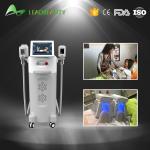 Leadbeauty Manufacturer CE Approval Fat Reduce Cryo lipolysis Slimming Machine