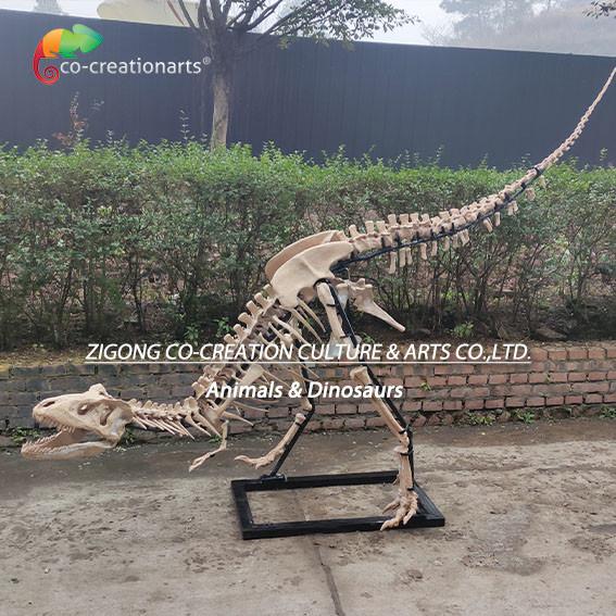 Buy cheap Highly Detailed Outdoor Decor Resin Dinosaur Skeleton Replica T-Rex Skeleton from wholesalers