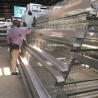 Buy cheap 90/96/120/128/160 Birds Layer Chicken Cage System Farming A Type 3 Or 4 Tiers from wholesalers