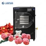 Fast Freeze Drying Machine Freeze Dryer Freezes Dried Candy Food Liquid Vacuum