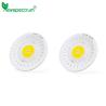 Buy cheap 40W Light Bar Module AC110V 220V COB LED Chip For Indoor Greenhouse Plants from wholesalers