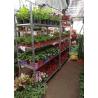 Buy cheap Dutch Trolley Greenhouse Carts from wholesalers