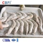 Tunnel Fast Freezing Machine Individual Industrial IQF Shock Blast Freezer