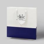 Tote Paper Shopping Bags Silver Stamping With Handles For Clothes Garment
