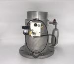 Carton Package Screw Air Compressor Intake Valve Spare Parts