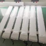Ex De Iic T6 Gb Explosion Proof Fluorescent Lamp 2ft 4ft IP65 Led T8 Tube Bulbs