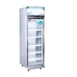 Glass Door Freezer Supermarket Refrigeration Equipment Vertical Freezer Dispaly