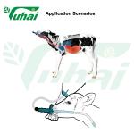 1gal Calf Feeding Bottles Animal Plastic Feeding Bottle Livestock Equipment For