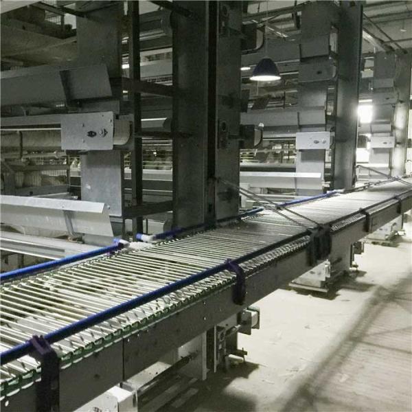 Hot Dipped Galvanized H Frame Automatic Battery Animal Cage/Chicken Layer Cage