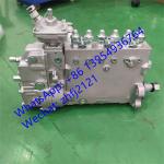 SDLG INJECTION PUMP 4110002410001/13056020, weichai engine parts for WEICHAI