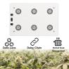 Buy cheap C600 Cree EPI 780μmol/s 850mA 600W COB LED Grow Light from wholesalers