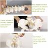 Buy cheap Adult PVC Anatomical Skeleton Model Lumbar Spine Models With Pelvic Floor from wholesalers