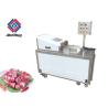 Buy cheap Electric Frozen Meat Dicer Machine / Ribs Cutting Machine Easy To Clean from wholesalers