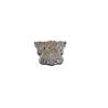 Buy cheap Polished Plating Casket Accessories , Ornamental Casket Hardware Wholesale Plastic Material from wholesalers