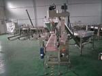 Spices Powder Bag Packing Machine , Load Cell Washing Powder Packaging Machine