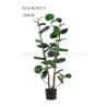 Buy cheap Real Touch Artificial Decorative Trees Artificial House Plant 4 Feet 5 Feet 6 Feet Wide Leaf from wholesalers