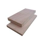 Customize 15mm E0 Glue Bintangor Plywood For Apartment