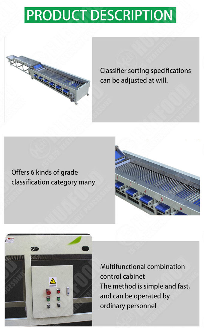 3TPH Fruit And Vegetable Sorting Machine Carrot Onion Potato Grading Machine