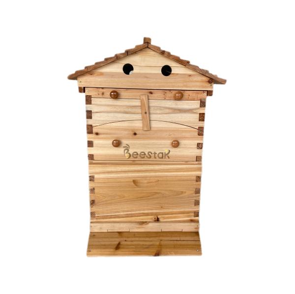 Chinese Fir Wood Beehive And Frame With Automatic Honey Flow For Beekeeping