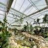 Buy cheap Reasonably Priced Glass Greenhouse for Vegetable Farming and Affordability Guaranteed from wholesalers