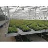 Buy cheap PVC Coated Welded Wire Mesh Fencing Panels For Greenhouse Smooth Surface from wholesalers