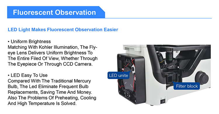 OPTO EDU A16.1063 LED Inverted Fluorescence Microscope