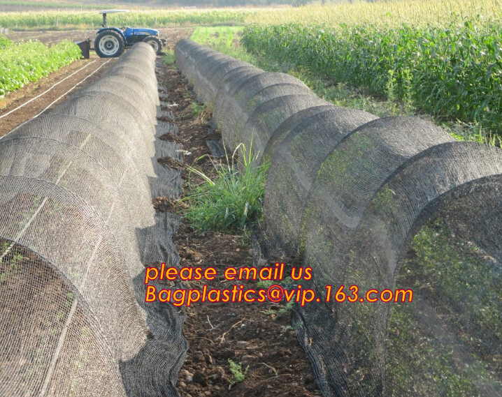 agriculture anti insect net on roll insect proof mesh for greenhouse,Greenhouse Anti Insect Netting /Agriculture Netting