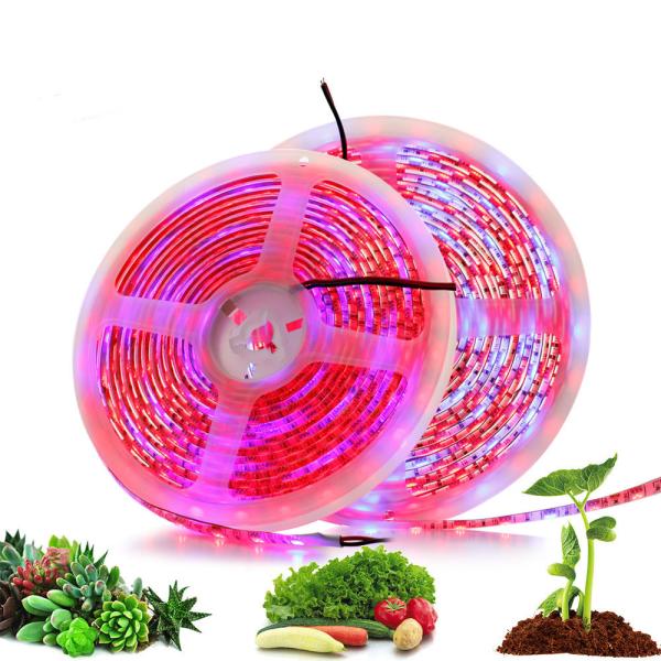 Buy cheap DC12V DIY Red Blue 3:1 4:1 5:1 Led Mood Light 12V Grow Light Strips For Plants from wholesalers