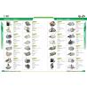 Buy cheap 12V 3.0KW 9T Excavator Starter Bosch Motor 0001359111 0001367010 0001367039 0986011250 0986011251 9000083053 CST10306AS from wholesalers
