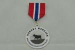 Offset Printing Brass Custom Awards Medals , Sports Medals And Ribbons