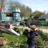 Buy cheap Life Size Animatronic Crocodile 3 meters from wholesalers