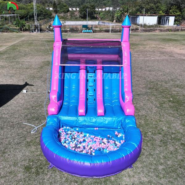 Commercial 100% PVC Double Lane Inflatable Water Slide Outdoor Wet Dry Big Water