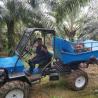Buy cheap Open Cab Tractor for Palm Oil Plantations with PTO Speed 240-1340rpm and Agricultural Tire from wholesalers