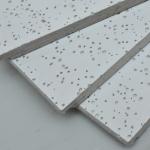 Hotel Fireproof Mineral Fibre Acoustic Tile for Soundproofing Panels