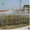 Buy cheap Serre Gothique 240m2 Poly Tunnel Greenhouse Economical Gothic Arch Greenhouse from wholesalers