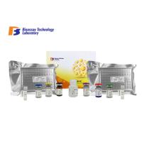 Buy cheap Glutathione Peroxidase 1 Canine ELISA Kits Sandwich ELISA Kit For Research product