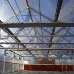 Sturdy And Large Greenhouse Agriculture Polycarbonate With Galvanized Steel
