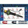 Buy cheap Original QSK19 QSK60 Fuel Injector F00BL0J019 2867149 4964173 4955527 4964170 F00BL0J020 4955524 4918073 from wholesalers