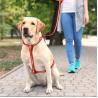 Buy cheap NO Stink Waterproof Dog Collars , Reflective Anti Pull Dog Harness Vest from wholesalers