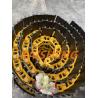 Buy cheap Alloy Steel Excavator Track Chain Assy , Caterpillar Excavator Chassis Parts from wholesalers