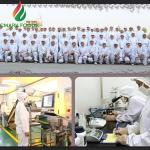 Japanese Panko Dried Bread Crumbs For Fried Foods With HACCP Certificate