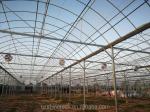Large Film Greenhouse Farming Fully Automated Light Deprivation System For