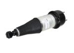 Rear Jaguar Air Suspension Shock Absorber Repair Kit For XJR C2C41340