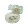 Buy cheap Food Additive Chitin Chitosan 99% Powder CAS 9012-76-4 from wholesalers