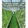 Buy cheap Pepper Cultivation Dual-Layer Film Greenhouse 12.09cm * 2.35cm * 2.39cm Package Size from wholesalers
