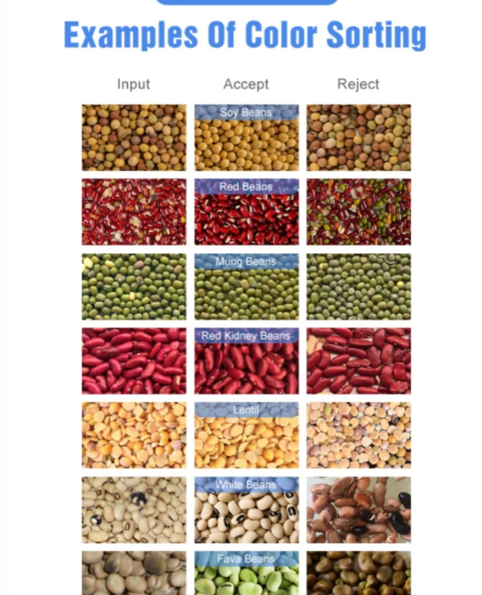 Deep Learning Stainless Steel Beans Color Sorter Machine With 99.9% Sorting Accuracy