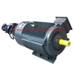Universal Motor / Flour Mill Motor / Blender Motor / Food Processor Motor