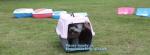 Fashion Design Luxury Travel Pet Air Carrier Dog /Cat Transport Plastic Cages