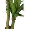 Dracaena Silk Plant Artificial 5ft Faux House Plants Evergreen Dracaena